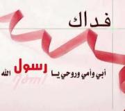 ������ ������� ����� �����