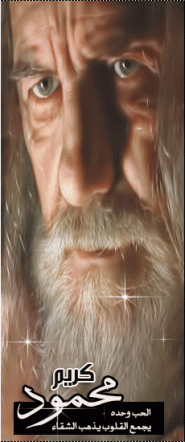 ������ ������� ���� �����